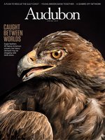 Audubon Magazine